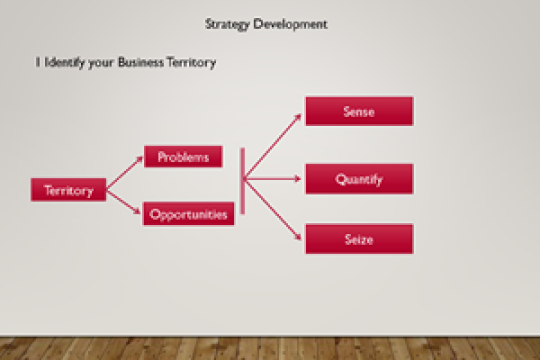 Strategy Development